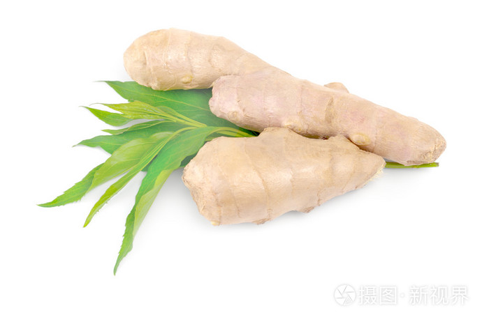 在白色背景上孤立的鲜姜