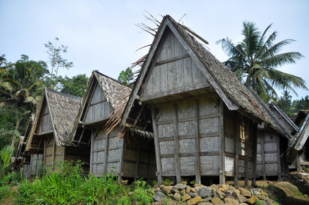 印尼苏卡布米传统水稻屋图片