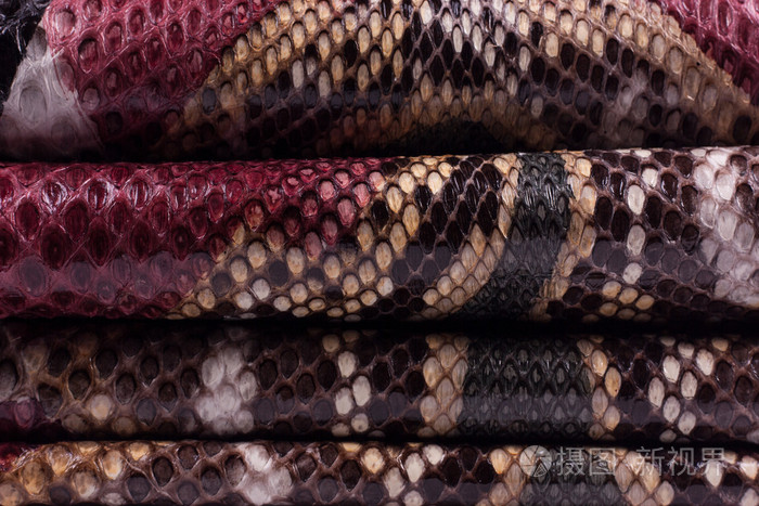 巨蟒蛇皮皮革背景蛇皮纹理动物爬行动物