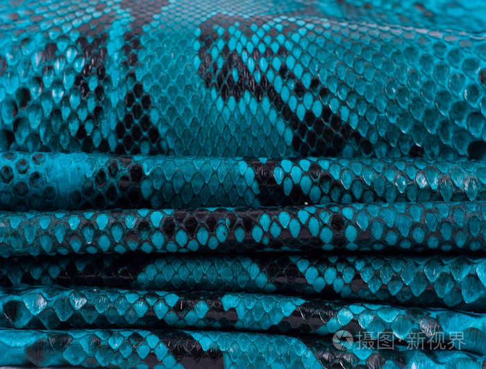 巨蟒蛇皮皮革背景, 蛇皮, 纹理, 动物, 爬行动物照