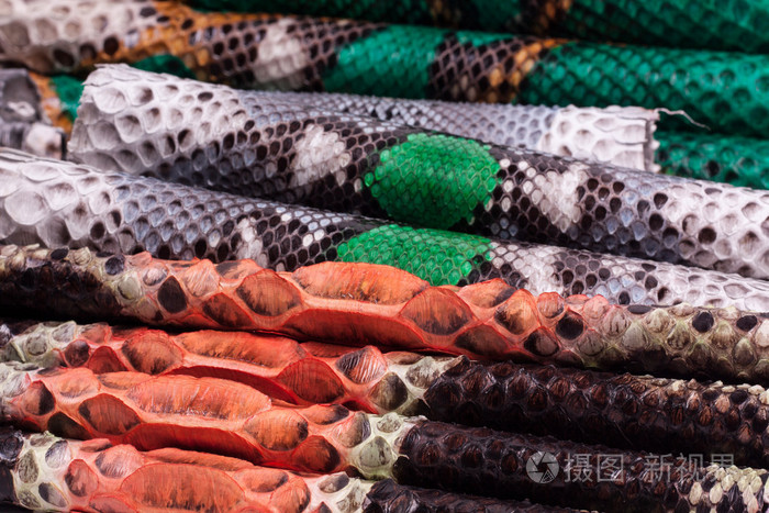 巨蟒蛇皮皮革背景蛇皮纹理动物爬行动物