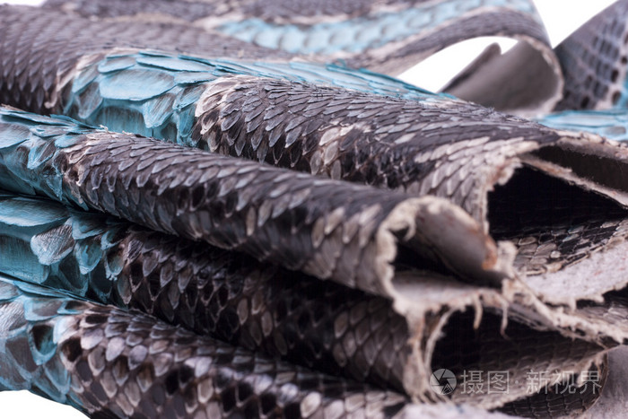 巨蟒蛇皮皮革背景蛇皮纹理动物爬行动物