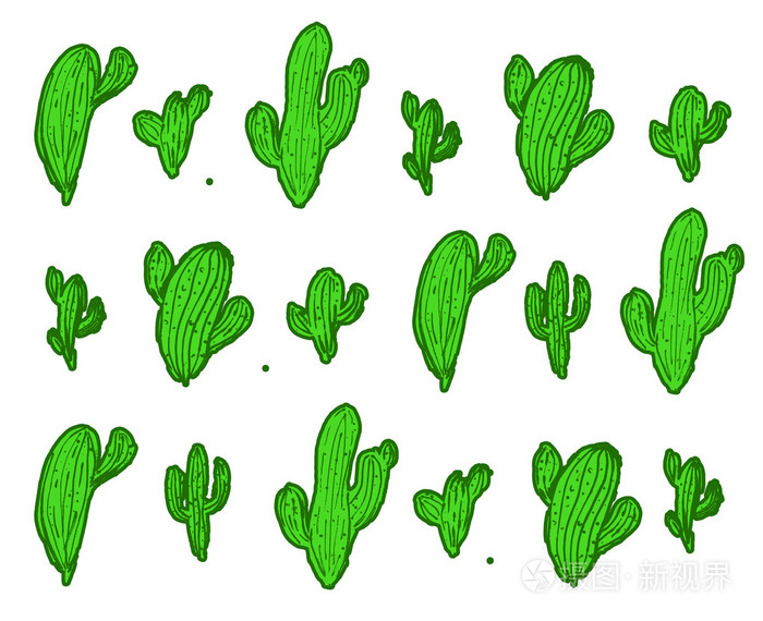 白色的无缝仙人掌图案植物仙人掌背景