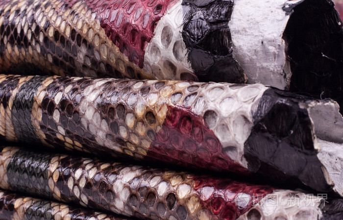 巨蟒蛇皮皮革背景, 蛇皮, 纹理, 动物, 爬行动物