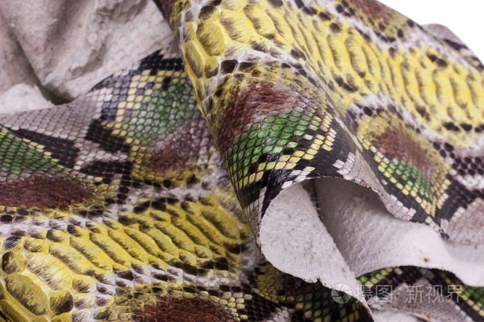 巨蟒蛇皮皮革背景, 蛇皮, 纹理, 动物, 爬行动物