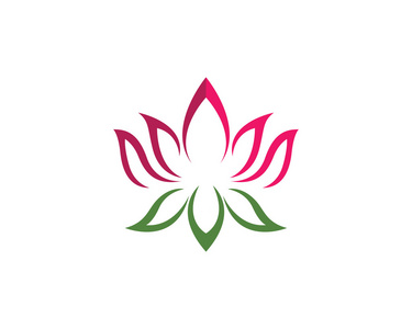 竖屏莲花美图图片