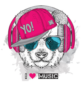 熊猫在眼镜,耳机和嘻哈帽子的形象.矢量图照片