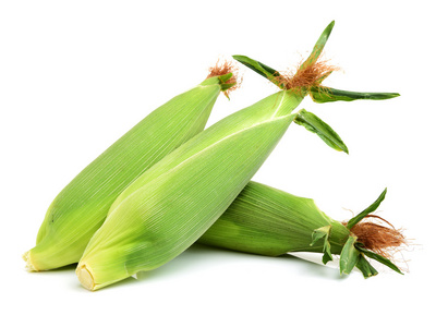 玉米棒单个图片