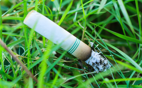 胡来丢弃的烟头照片