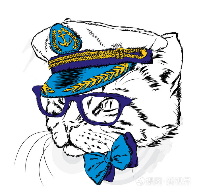 在船长的帽的逗猫。矢量图