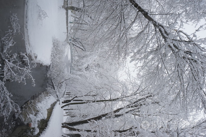 下雪在公园里的景观