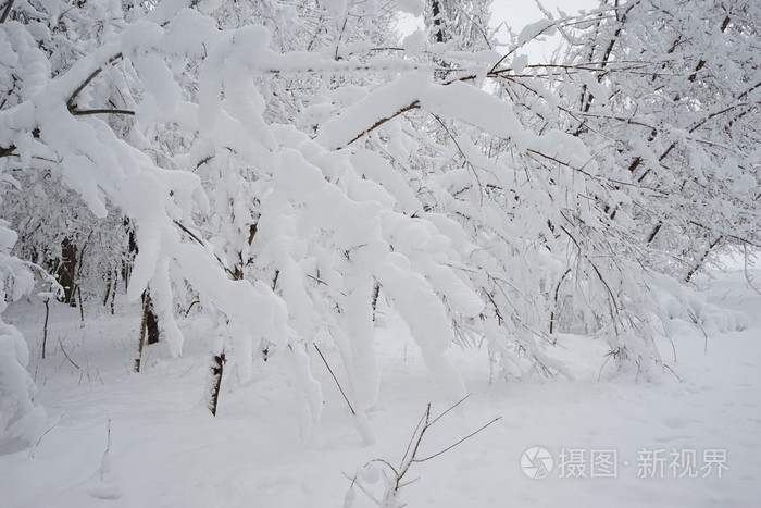 在公园里下雪。高分辨率和美丽的雪细节