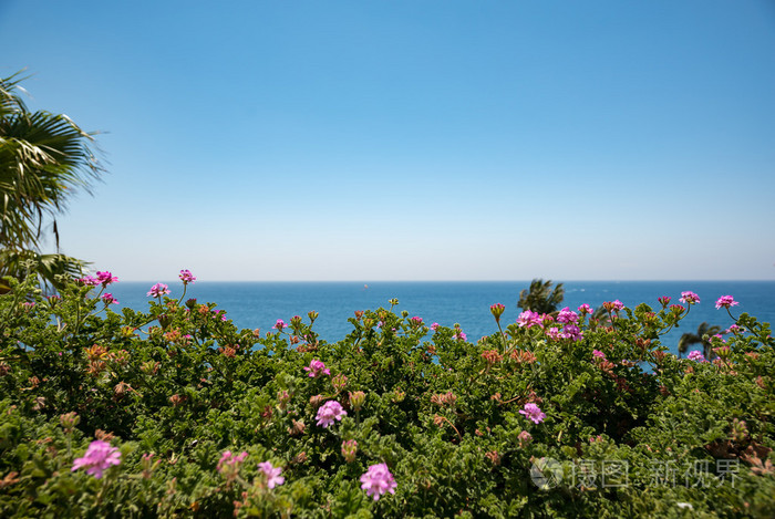 西班牙大海和美丽的花朵