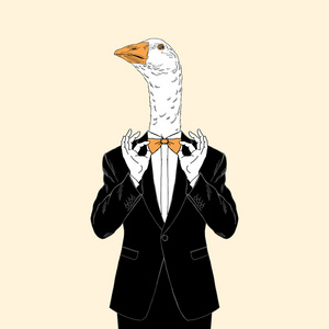 燕尾服鸟身着燕尾服的鹅照片