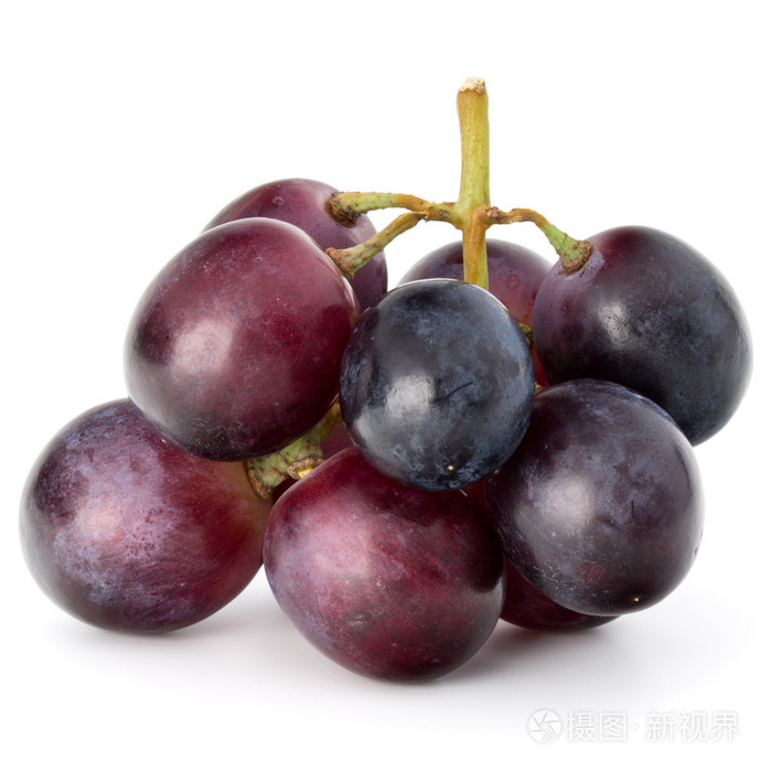 红葡萄浆果