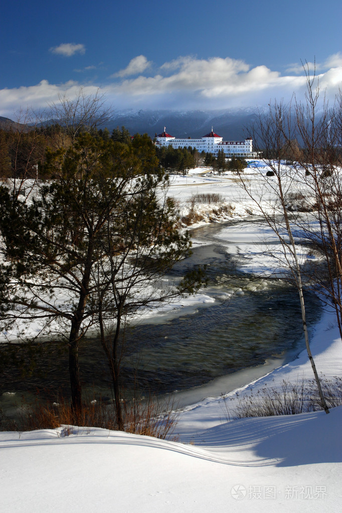 新罕布什尔州的布雷顿森林树林