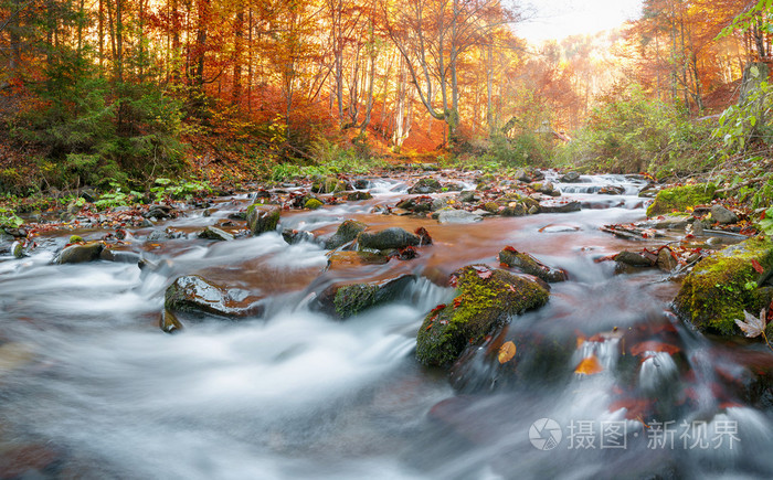 秋天的森林，山间溪流。美丽，岩石覆盖着苔藓。湍急河流和瀑布。喀尔巴阡