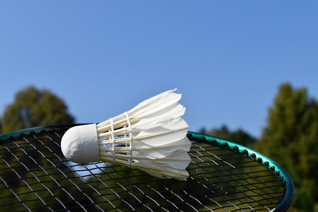 一个羽毛球图片