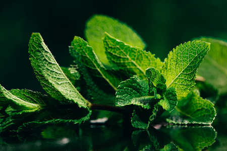 深绿色蔬菜图片