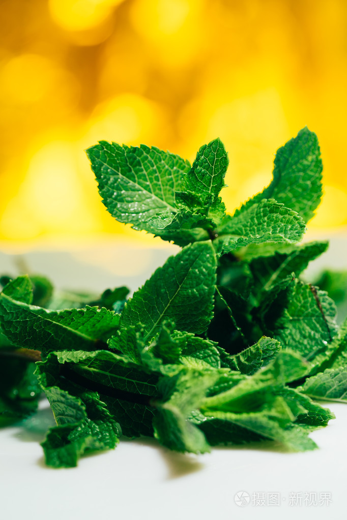 新鲜薄荷叶上白色黄色背景模糊