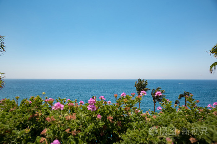 景观图的草海和天空