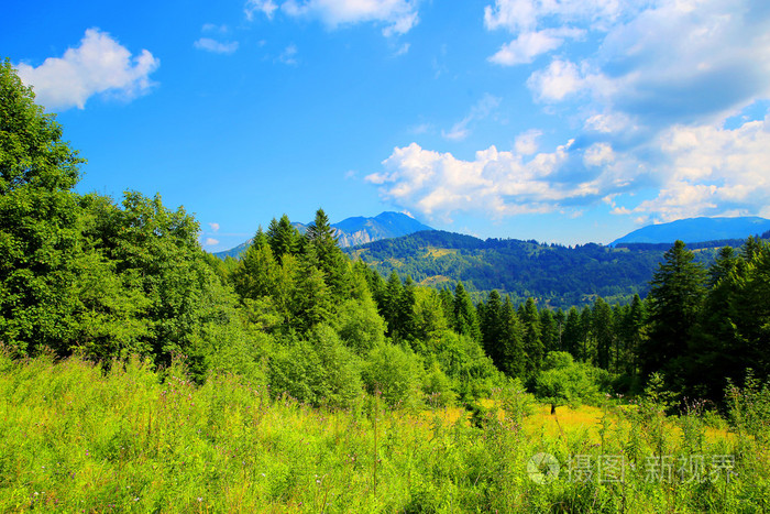 自然背景夏天草甸与背景下的山脉和蓝色的天空云淡风轻的美丽森林中的