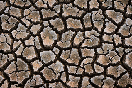 龟裂地面图片