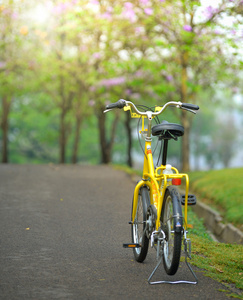自行车在花园路图片