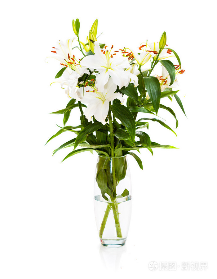 玻璃花瓶孤立的白百合花束