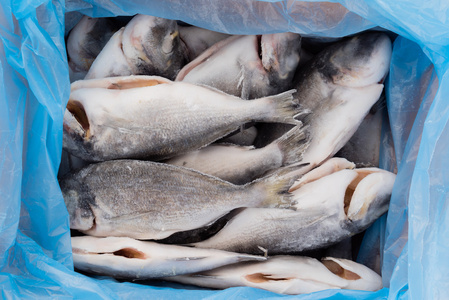 冷冻鱼图片