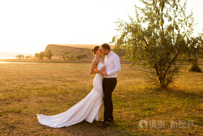 婚礼情侣接吻附近的树上