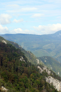 塔拉山风景塞尔维亚欧洲图片