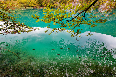 十六湖国家公园克罗地亚图片