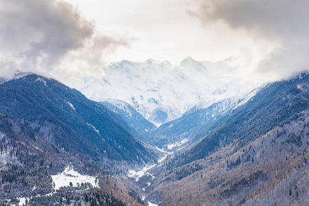 小山 森林 风景 高峰 美国 自由 阿尔卑斯山 冒险 环境