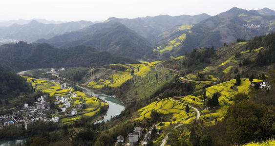 时尚 闲暇 围绕 农民 瓷器 山坡 植物 诚实 修补程序