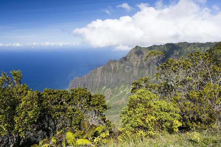 卡拉劳 自然 目的地 太平洋 海洋 考艾 天堂 巴利语 海岸线