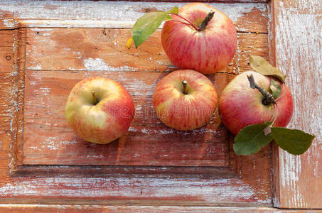 旧木底秋苹果。乡村风格。。乡村风格。