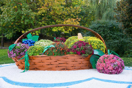 大花坛的形状，篮子里装满了不同的水果，里面有五颜六色的菊花。 乌克兰基辅的帕克兰。