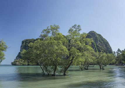 泰国南部美丽的热带海湾。 旅行