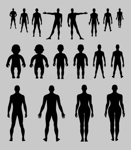 全长正面,背面人体轮廓集照片