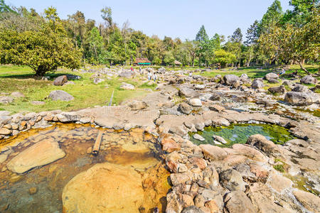 国家的 喷泉 早晨 草地 植物学 热的 地标 草坪 岩石