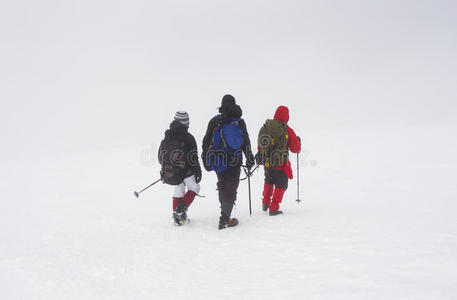 外部 高的 徒步旅行 冒险 登山者 背包客 自然 登山运动员