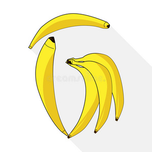 一束香蕉在白色上分离出来。