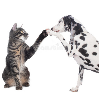 表情包击掌图片