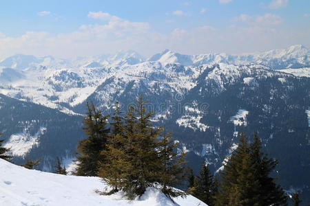 小山 哈帕拉 阿尔卑斯山 登山运动员 登山者 奥地利 装腔作势