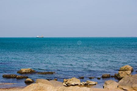 旅游 里夫斯 放松 海滩 流动 海藻 海滨 墙纸 波动 空的