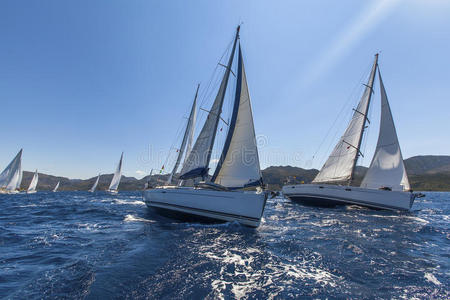 奢侈 自由 运动 帆船 旅行 比赛 团队 航海 假日 赛跑