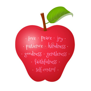 圣灵的果子照片