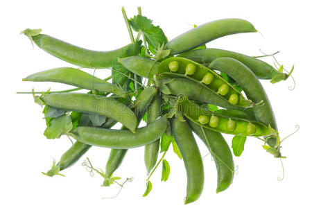 自然 特写镜头 豆类 食物 蔬菜 植物 种子 豆荚 作物