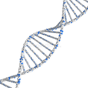 DNA分子。 三维渲染在白色背景上